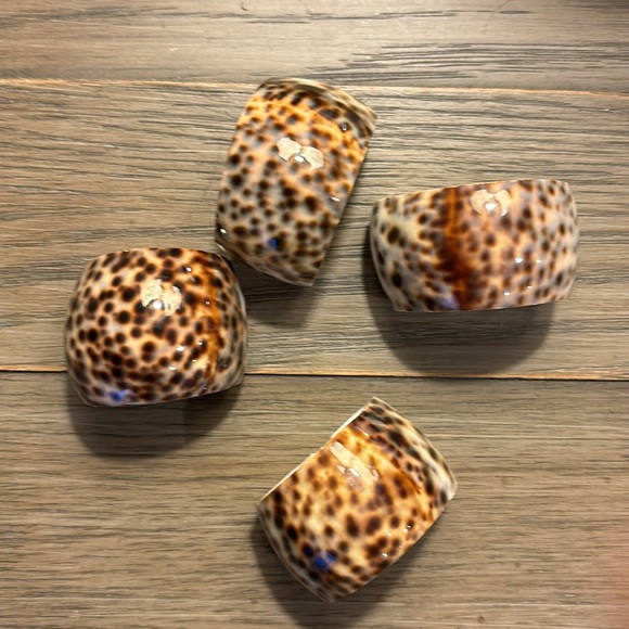 Tiger Cowrie Shell Napkin Rings - Picture 3 of 3